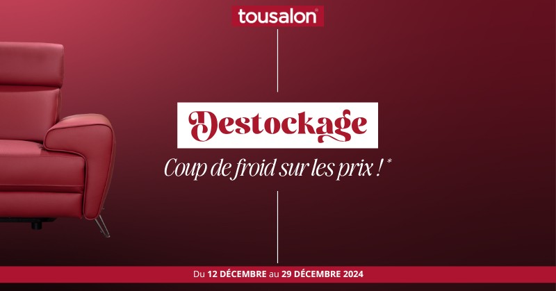 Destockage tousalon 2024